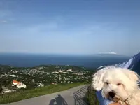 大室山の写真・動画_image_197646