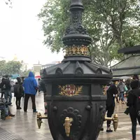 Font de Canaletesの写真・動画_image_197970