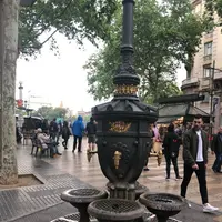 Font de Canaletesの写真・動画_image_197971