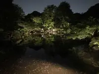 旧古河庭園の写真・動画_image_198131