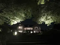 旧古河庭園の写真・動画_image_198132