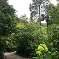 明月院（あじさい寺）の写真・動画_image_198368
