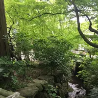 明月院（あじさい寺）の写真・動画_image_198369