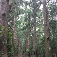 那智の滝の写真・動画_image_198383