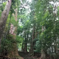 那智の滝の写真・動画_image_198384