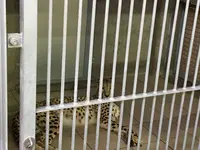 アドベンチャーワールドの写真・動画_image_198386