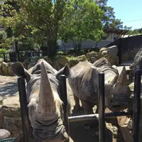 アドベンチャーワールドの写真・動画_image_198387