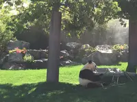 アドベンチャーワールドの写真・動画_image_198388