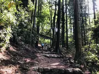 津和野城跡の写真・動画_image_198507