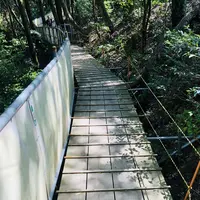 津和野城跡の写真・動画_image_198508