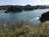 今治市の写真・動画_image_198549