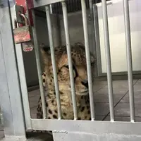 アドベンチャーワールドの写真・動画_image_198566