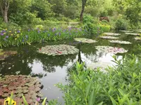 安芸市の写真・動画_image_198576