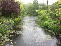 安芸市の写真・動画_image_198577