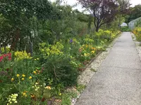安芸市の写真・動画_image_198580