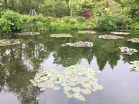 安芸市の写真・動画_image_198581