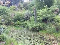 安芸市の写真・動画_image_198582