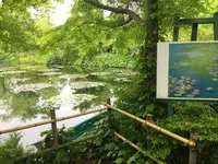 北川村「モネの庭」マルモッタンの写真・動画_image_198626