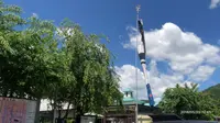 道の駅 古今伝授の里やまとの写真・動画_image_198649