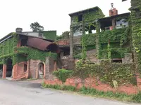 安芸市の写真・動画_image_198670
