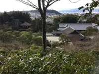 銀閣寺(東山慈照寺)の写真・動画_image_198706