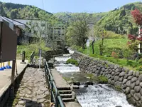 湯沢高原ロープウェイの写真・動画_image_198737