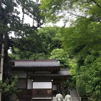 鶴岡八幡宮の写真・動画_image_198765