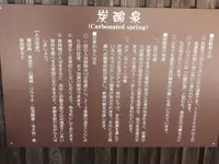 道の駅　桜の郷荘川の写真・動画_image_198940