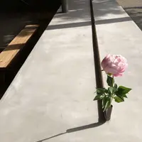 arita huis（アリタハウス）の写真・動画_image_198987