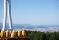 三島スカイウォークの写真・動画_image_199085