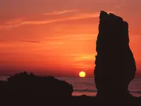 久嶋（孔島）鈴島植物群落の写真・動画_image_199303
