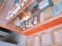 ごまめの写真・動画_image_199401