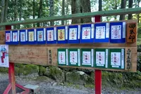 日光二荒山神社の写真・動画_image_199492