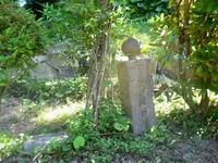 本行寺の写真・動画_image_199563