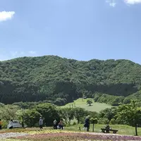 やくらいガーデンの写真・動画_image_199923