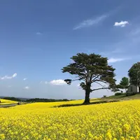 やくらいガーデンの写真・動画_image_199925