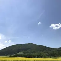 やくらいガーデンの写真・動画_image_199927