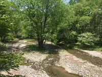 西ノ湖の写真・動画_image_200214