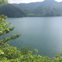 中禅寺湖湖畔遊歩道の写真・動画_image_200216
