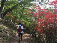 中禅寺湖湖畔遊歩道の写真・動画_image_200217