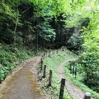 羅生門の写真・動画_image_200249