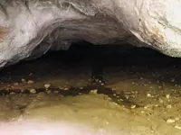 羽山渓の写真・動画_image_200263