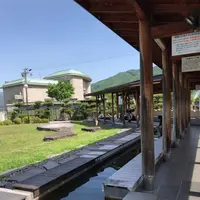 諏訪市湖畔公園の写真・動画_image_200276