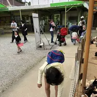 五桂池ふるさと村の写真・動画_image_200363