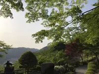 郡上八幡城の写真・動画_image_200369