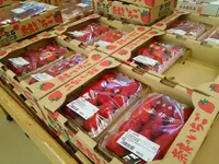 JAならけん まほろばキッチンの写真・動画_image_200384