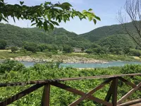 サクラテーブルの写真・動画_image_200557
