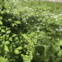 上高地アルペンホテルの写真・動画_image_200763