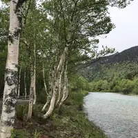 上高地アルペンホテルの写真・動画_image_200769