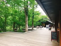 ハルニレテラスの写真・動画_image_201123